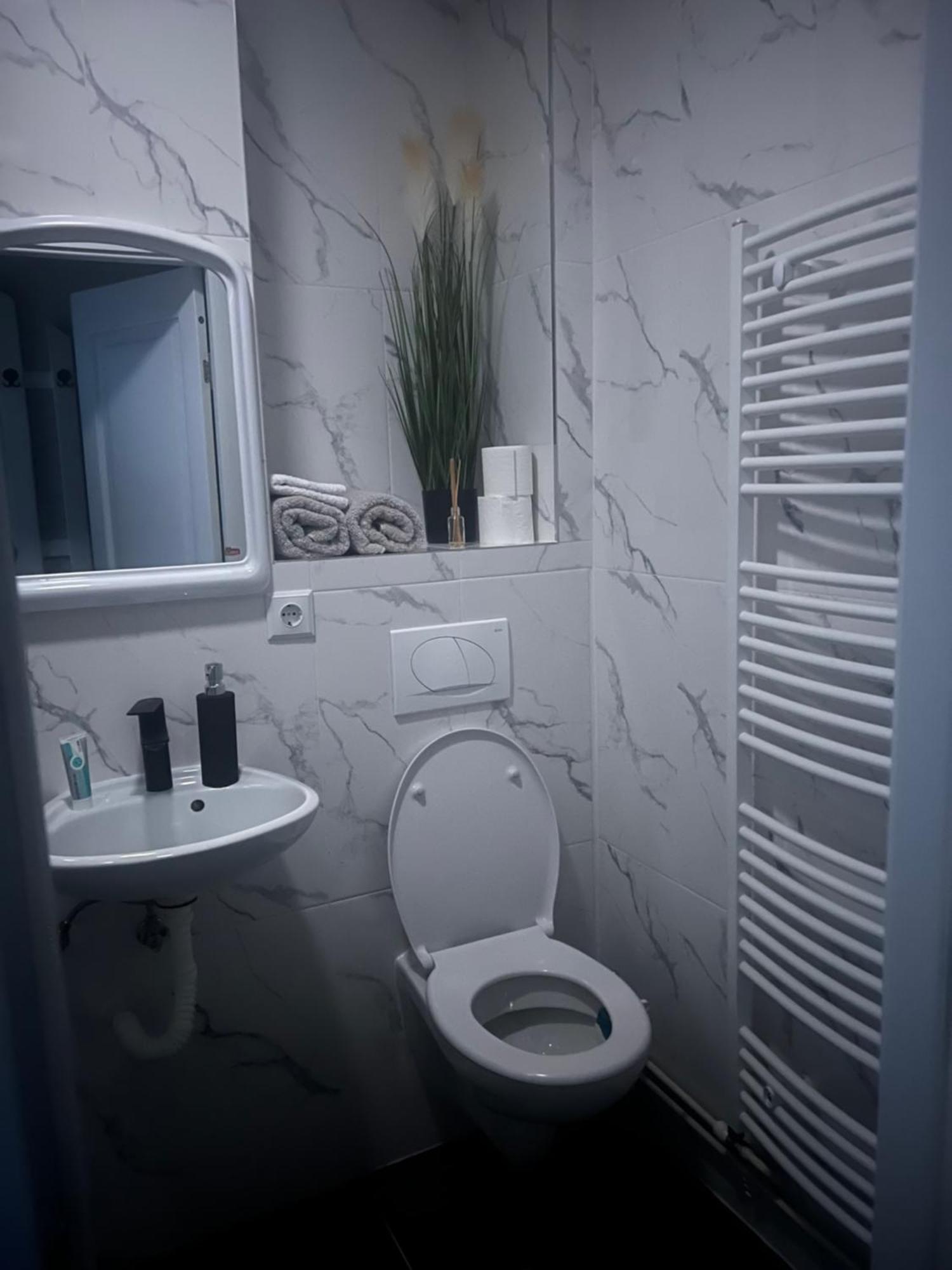 Apartament 2 Camere Baia Mare Extérieur photo